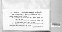 Image Associated With the Occurence